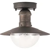 Rabalux Oslo plafonnier extérieur 1x E27 or antique