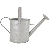 Pflanzen-Kölle Arrosoir Zinc 3,5l