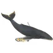 Collecta Baleine à bosse - figure animale