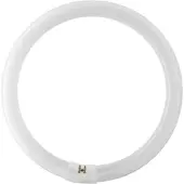 Falcon Eyes Lampe annulaire de rechange pour FLC-65 65W