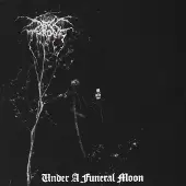 Snapper Consignment Under A Funeral Moon