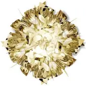 Slamp Veli Plafonnier/Applique Gold | Mini