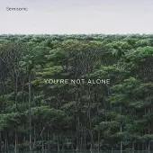 Proper S&D Consignment Semisonic - You're Not Alone [Vinyl]