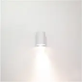 Artdelight Downlighter Roulo1 blanc