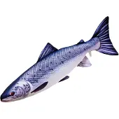 Gaby Coussin Moyen Saumon Atlantique