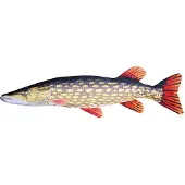 Gaby The Pike Giant Pillow Jaune
