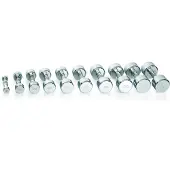Gymstick Haltère Pro Chrome 6kg Unit