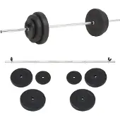 vidaXL Ensemble d'haltères longs 30 kg