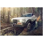 MSW Treuil tout-terrain Expondo - 2 040 kg - 4 500 lbs - 12 V - câble en acier de 15 m - poulie de renvoi incluse