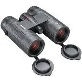 Bushnell Jumelles Nitro 10x36mm