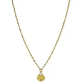 Rosefield Collier Jpnscg