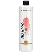 Iv San Bernard Trads Ks Antismell Shampoo 1l Clair