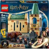 LEGO HARRY POTTER 76387 Poudlard Rencontre avec Touffu