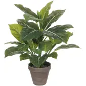 Mica Decorations Plante Artificielle Evergreen en Pot de Fleur Stan - H49 x Ø40 cm - Vert