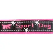 Ferplast Laisse Pour Chien Sport Matic 20 Mm 120 Cm