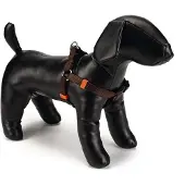 Beeztees BZ NY GESCH UNI GRIS FONCÉ 60-10 (100, 60, 62, 68, 80, 85, 90, 95, Chien, Général)
