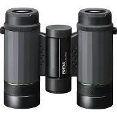 Pentax Jumelles VD 4 x 20 WP Gris et noir