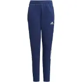 Adidas Tiro 21 Pants Bleu 13-14 Years Enfants