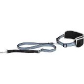 Flamingo Rono Dog Leash Bleu