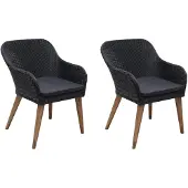 vidaXL Chaises de jardin avec coussins 2 pcs. Poly rotin noir