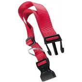 Ferplast Collier De Chien Club 40 Mm