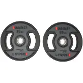 FINNLO Disque De Poids 25kg 2 Unités