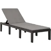 vidaXL Chaise longue avec support Plastique Anthracite