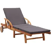 vidaXL Bain de soleil avec support Bois massif Acacia