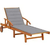 vidaXL Bain de soleil avec support acacia massif