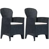 vidaXL Chaises de jardin 2 pcs. avec coussins Anthracite plastique aspect rotin
