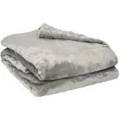 Poyet Motte Couverture Microflanelle Grise 100% polyester 280g 180x220