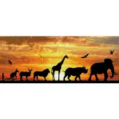 Diamond Dotz Ciel africain : 80x36 cm