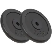 vidaXL Disques d'haltères 2 pièces de 30 kg en fonte
