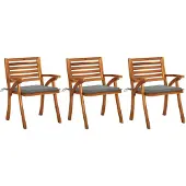 vidaXL Chaises de jardin avec coussins 3 pcs. Bois massif acacia