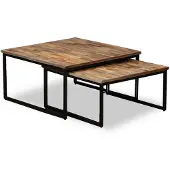 vidaXL Ensemble de tables basses 2 pièces en teck massif recyclé