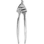 Berghoff Presseur d'Ail BergHOFF Essentials 25