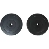 vidaXL Poids 2 disques d'haltères 10kg