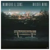 V2 - Wilder Mind CD