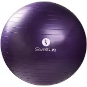 SVELTUS Gymball Ø75cm - Boîte de- Violet