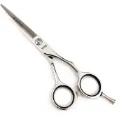 Kyone 480 5,5 pouces (13.97 cm)
