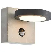 LUCANDE - Belna Sensor LED d'Extérieur Applique Murale Grey