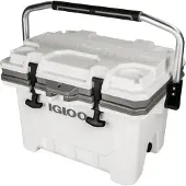 Igloo Coolers Imx 24 22l Rigid Portable Cooler Clair