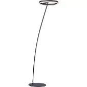 Paul Neuhaus Lampadaire , anthracite, blanc chaud, dimmable, IP20, 3000 K