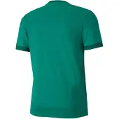 Puma Chemise Teamgoal 23 JerseyK15163