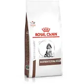 Royal Canin Dog gastro intestinal junior - nourriture sèche pour chiots souffrant de troubles intestinaux aigus - 10 kg