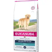 Eukanuba Croquettes pour Golden Retriever au poulet 12 kg