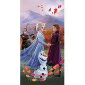Disney Frozen Frozen die Eiskönigin Badetuch