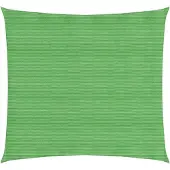 vidaXL Voile d'ombrage 160 g/m² Vert clair 6x6 m PEHD