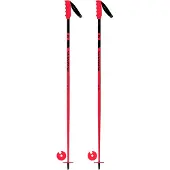 Rossignol Bâtons Hero Sl