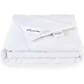 Cinderella All Year Couette Cinderella Lounge Coton-240 x 220 cm
